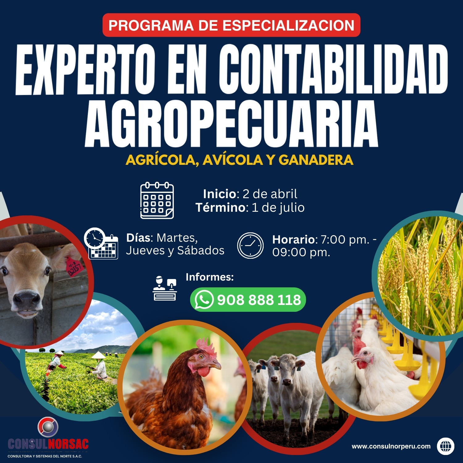 Hacer CLICK AQUI para descargar el temario completo, costo y fecha de inicio ....!!!